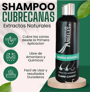 shampoo para las canas