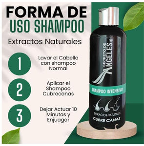 shampoo para las canas